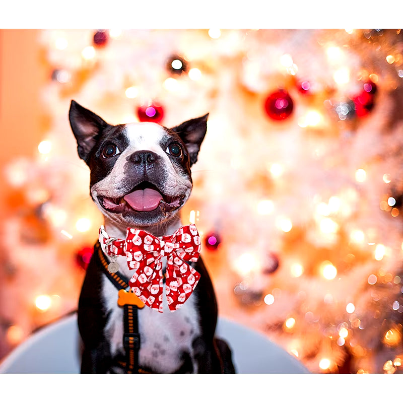 Personlized Christmas Dog Collar with Bow Red Santa Clause Dog Collar Flower Dog Collar Large Medium Small Dog