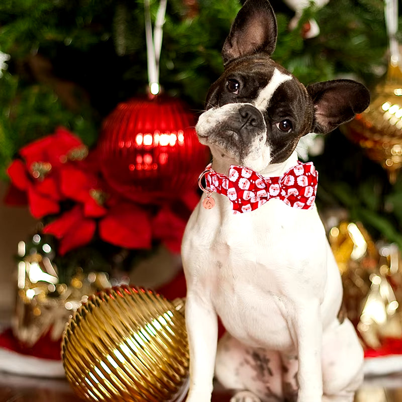 Personlized Christmas Dog Collar with Bow Red Santa Clause Dog Collar Flower Dog Collar Large Medium Small Dog